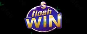 Flashwin
