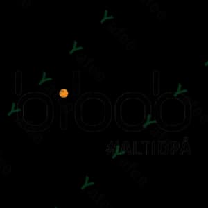 Bibob