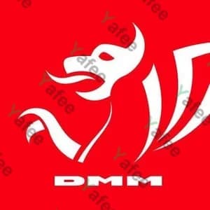 Dmm Verlag