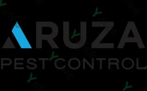 Aruza