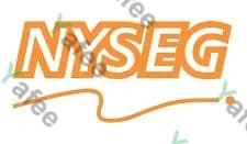 Nyseg