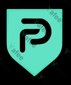 Palladiumvpn