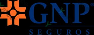 Gnp Seguros