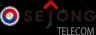 Sejong Telecom