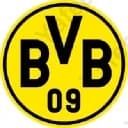Bvb