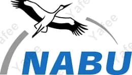 Nabu