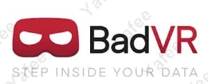Badoink Vr
