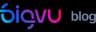 Bigvu