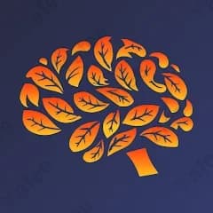 Brainbloom