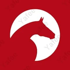Clipmyhorse.Tv