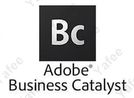 Adobe Business Catalyst