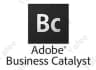 Adobe Business Catalyst