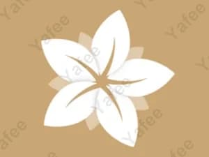 Muses Academy