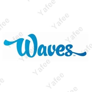 Waves Car Wash