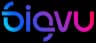 Bigvu
