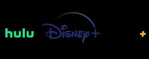 Disney Bundle