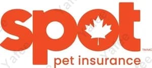 Spot Pet Insurance