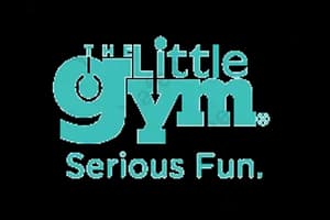 The Little Gym