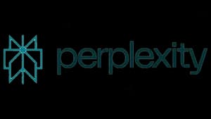 Perplexity