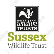 Sussex Wildlife Trust