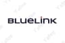 Bluelink
