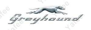 Greyhound