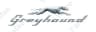 Greyhound