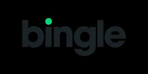 Bingle