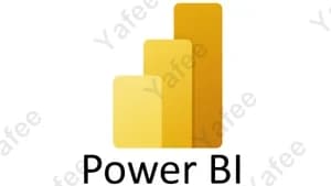 Microsoft Power Bi