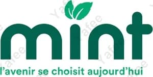 Mint