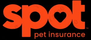 Spot Insurance