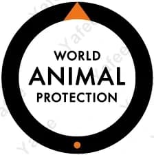 World Animal Protection