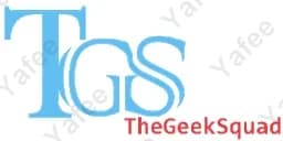 Geek Squad