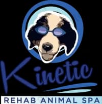 Kinetic