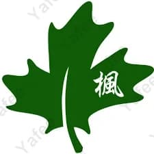 Maple