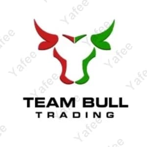 Team Bull Trading