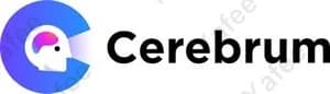Cerebrum