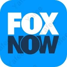 Fox Now