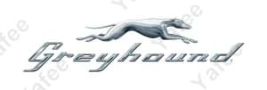 Greyhound
