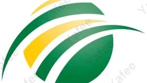 Cricket Wireless