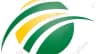 Cricket Wireless