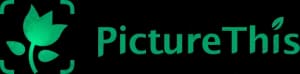 Picturethis