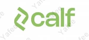 Calf