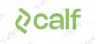 Calf