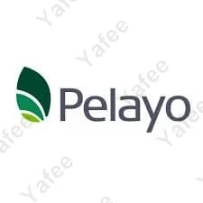 Pelayo