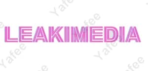 Leekmedia