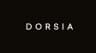 Dorsia