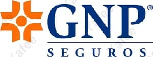 Gnp