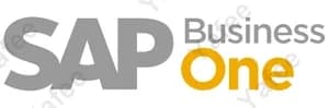 Sap Business One