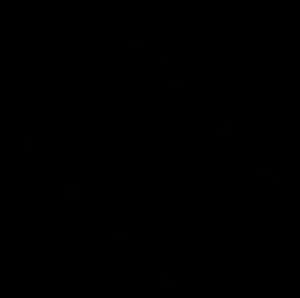 Alma Media